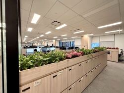 Capitasky (D1), Office #558438841